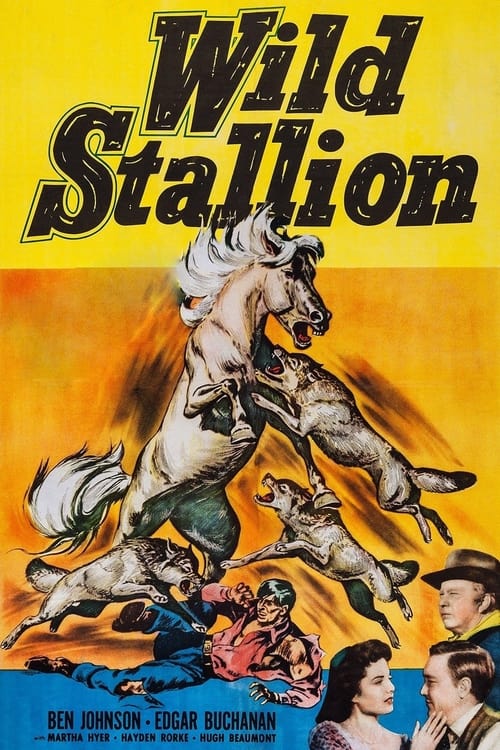 Wild Stallion