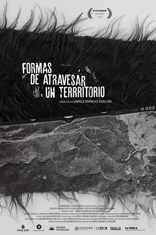 Formas de atravesar un territorio