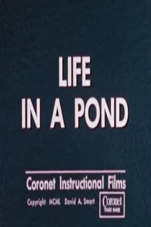 Life in a Pond