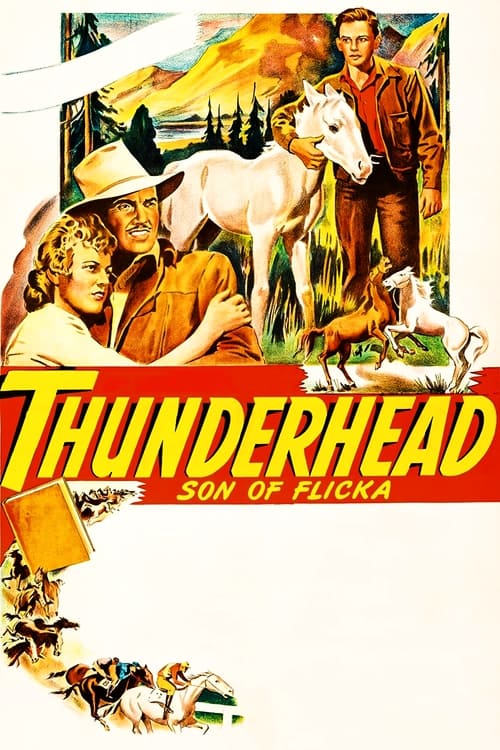 Thunderhead – Son of Flicka