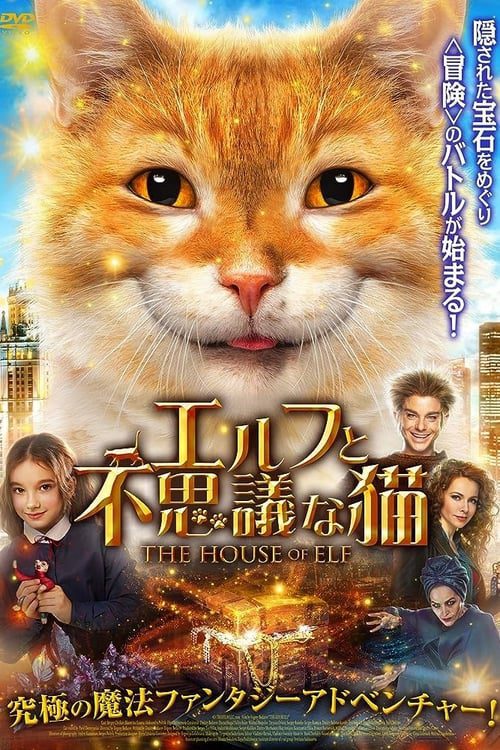 エルフと不思議な猫