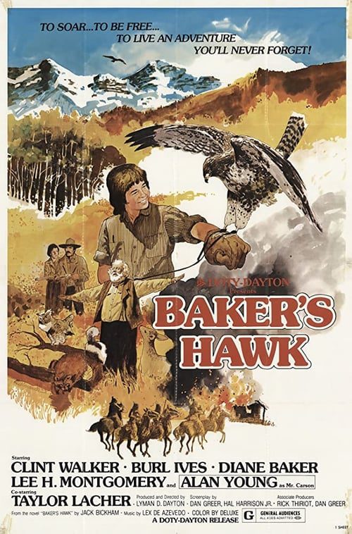 Baker’s Hawk