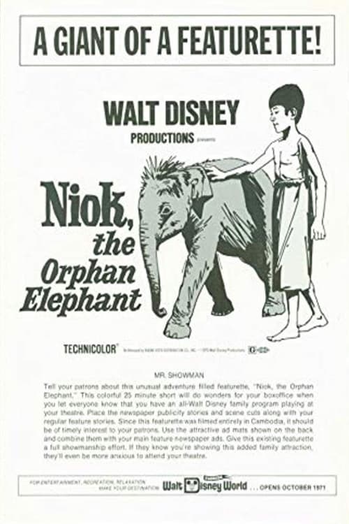 Niok l’éléphant