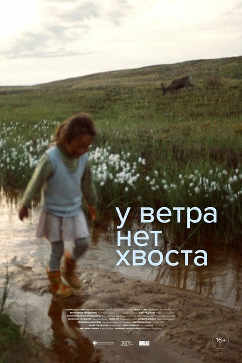 У ветра нет хвоста