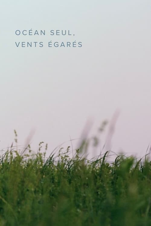 Océan seul, vents égarés