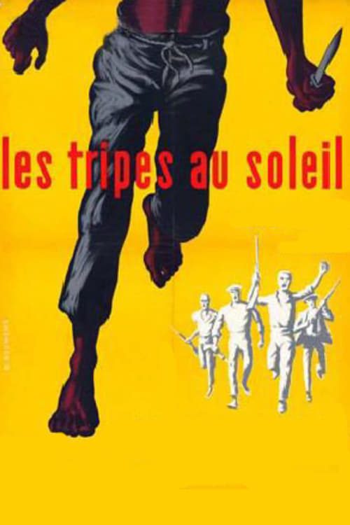 Les tripes au soleil