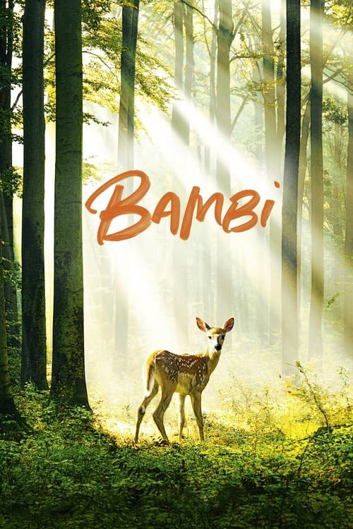 Bambi, l’histoire d’une vie dans les bois