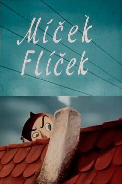 Míček Flíček