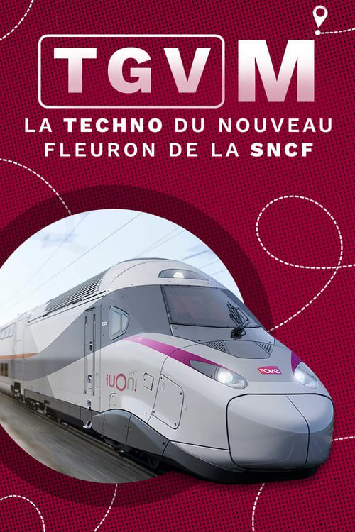 TGV M : La Techno du nouveau fleuron de la SNCF