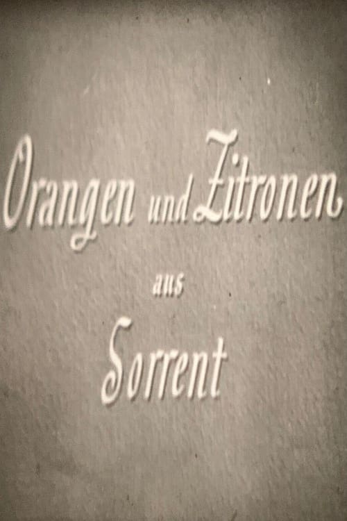 Orangen und Zitronen aus Sorrent