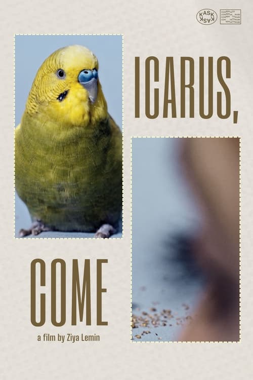 Icarus, kom