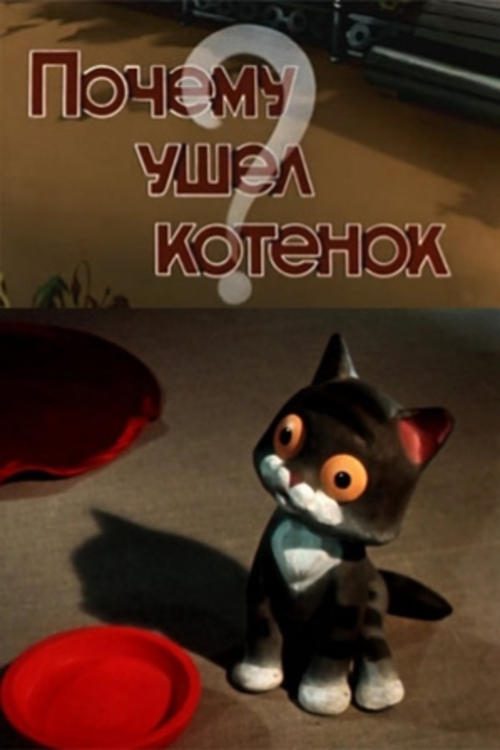 Почему ушел котенок