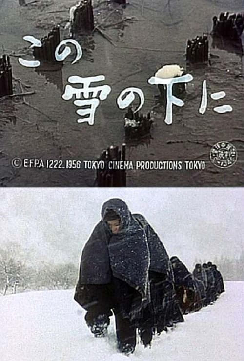 この雪の下に