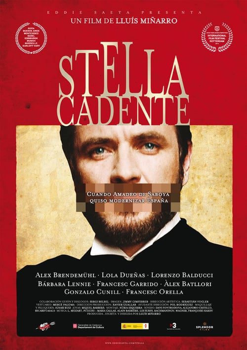 Stella cadente